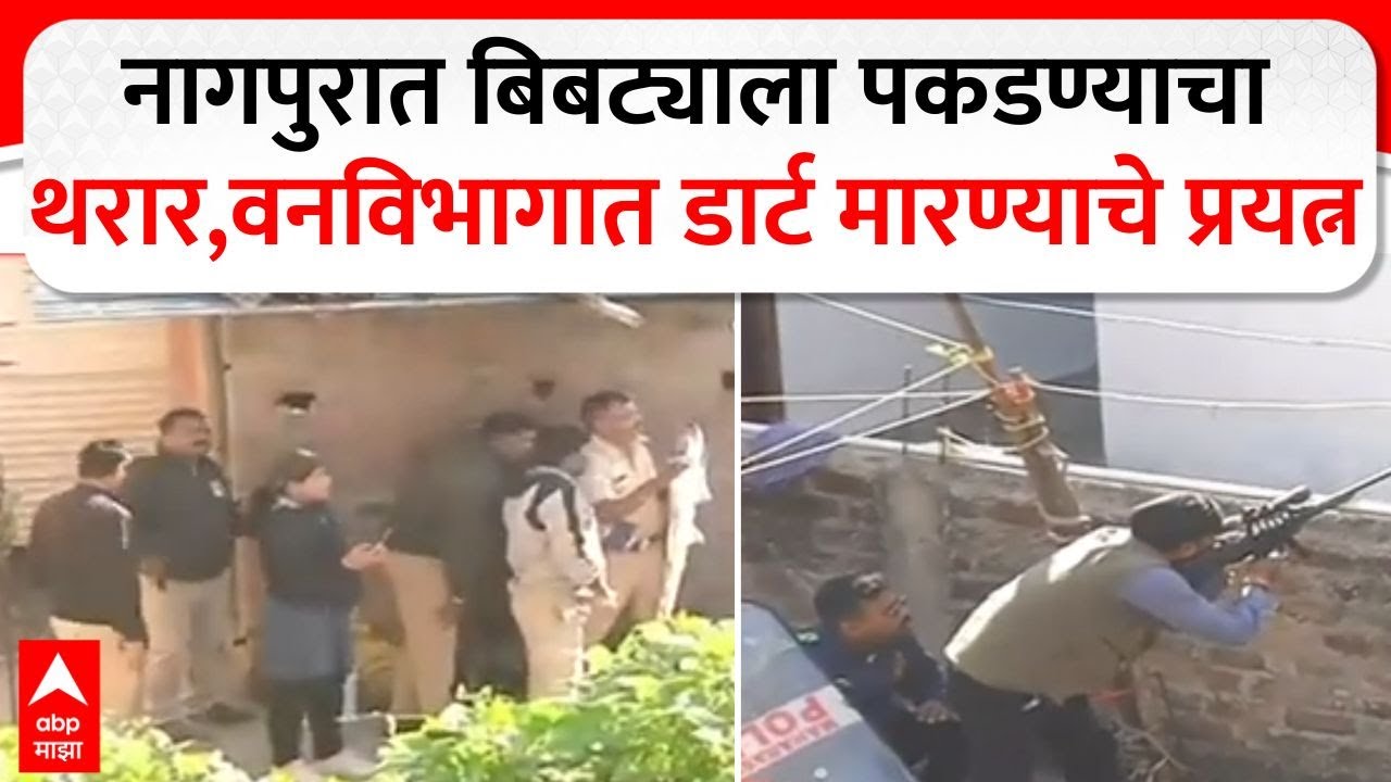 Nagpur Leopard Rescue Operation नागपुरात बिबट्याला पकडण्याचा थरार,वनविभागात डार्ट मारण्याचे प्रयत्न