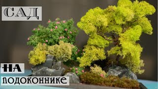 Миниатюрный сад своими руками/Объемная композиция из стабилизированного мха Миниатюрный сад своими руками/Объемная композиция из стабилизированного мха