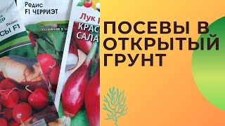 Посевы в открытый грунт! Вынесла рассаду томатов на холод!