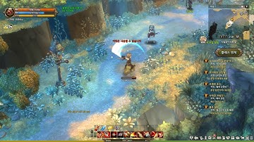 Tree Of Savior Game Play 20181114 17 04 53 854