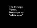 The strange vines  white rose