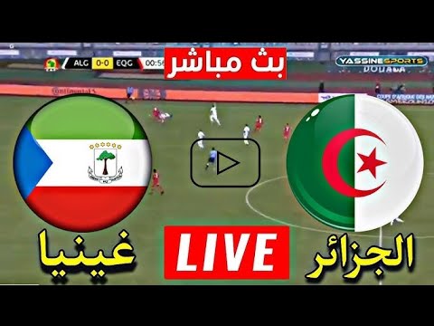 بث مباشر مباريات اليوم بث مباشر مباراة الجزائر وغينيا الاستوائية اليوم