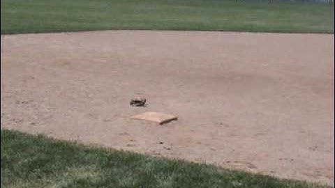 Associated RC18T bash