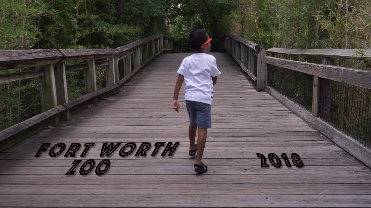 The Fort Worth Zoo Finding Wild Animals YouTube The Fort Worth Zoo Finding Wild Animals YouTube