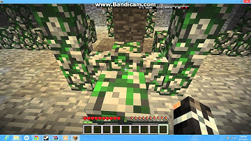 (The beastiness) insanity part 2