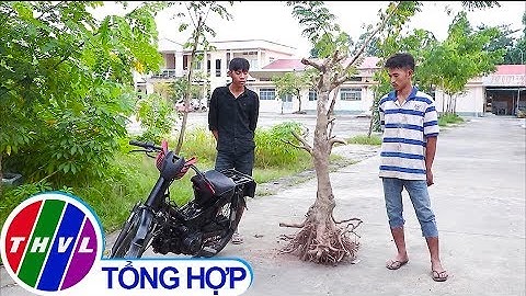 Cảnh giác tội phạm trộm cắp tài sản gia tăng dịp cuối năm