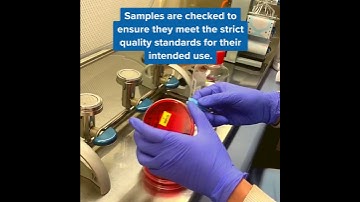 LABS UNLOCKED 🔑 Take a tour of our Food Lab at Frome Road