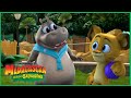 Glória, a Rainha da Gentileza! 👑🦛 | DreamWorks Madagascar em Português