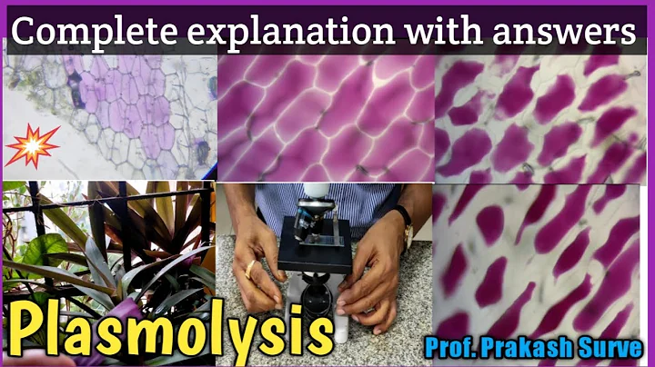 Plasmolysis - Complete explanation with answers ( Std - 12 , Q.1 - 4 marks ) By Prof. Prakash Surve