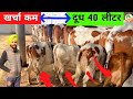 खर्चा कम दूध ज़्यादा आयरशायर गाय 🐄😱 || Ayrshire cow in india || Farming Leader