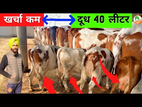 वीडियो: पूर्वी आयरशायर में क्या है?