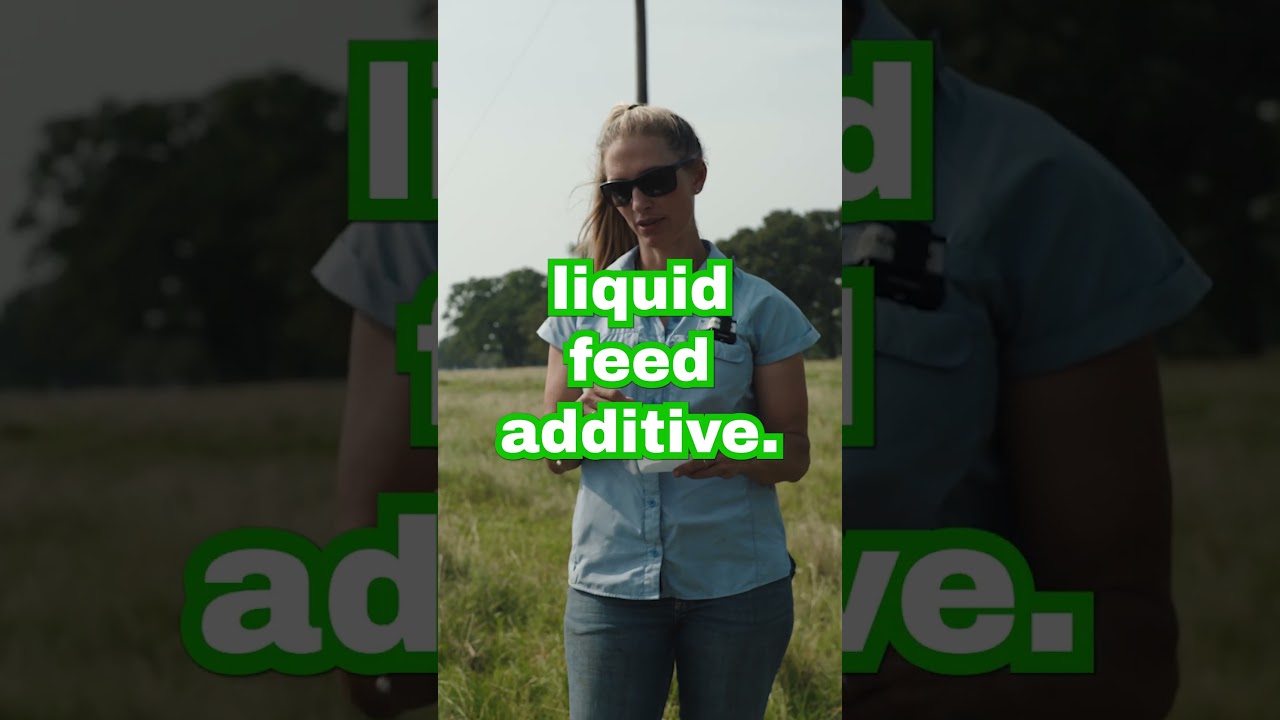 How Liquid Feed Additive saves you money💲