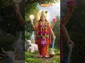 Shuklam Varadharam Vishnum #narayan #vishnu #devotional #god #short #video #song #trending #viral