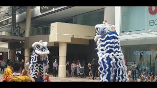 Lion Dancing - Chinese New Year ! by Venturi Life 33 views 2 years ago 5 minutes, 19 seconds