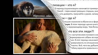 Презентация Тамары Джапаридзе по аборигенным собакам 18 12 2018 Презентация Тамары Джапаридзе по аборигенным собакам 18 12 2018