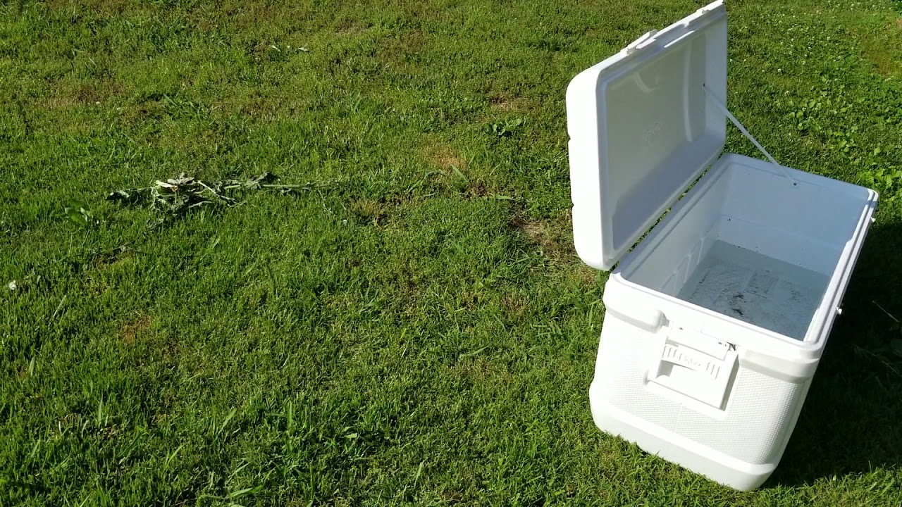 Insulated vs. Uninsulated bait tanks YouTube