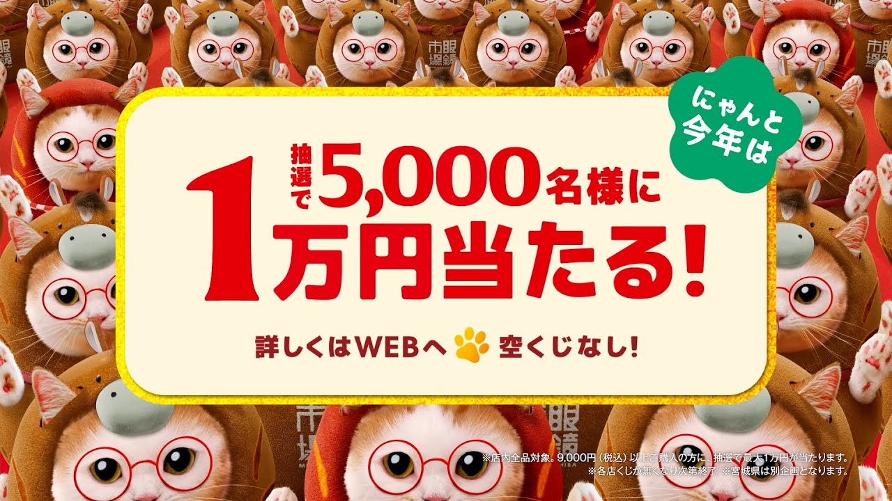 【眼鏡市場】初売２０２６全国　「猫馬だるまダンス」篇