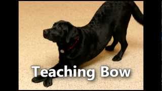 Teaching your dog to bow