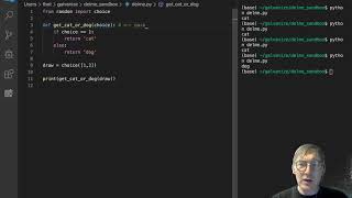 Functions - Parameters vs Arguments