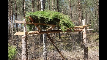 Koolyomaka a Siberian deadfall trap