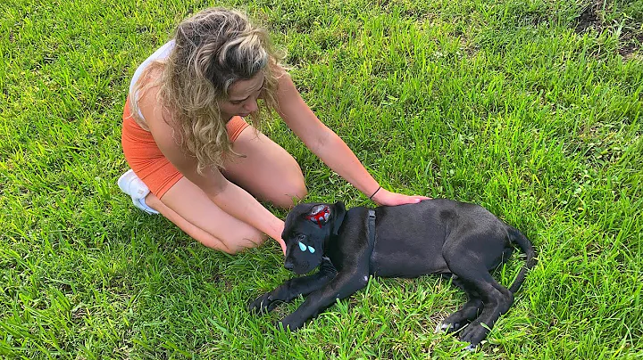 CONFRONTING THE CREATURE THAT AMBUSHED MY DOG!