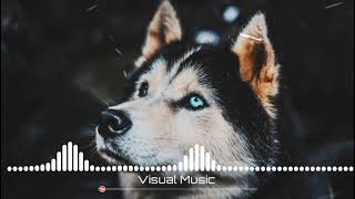 Канги - Собака (Я хочу найти  ту самую собаку Что живет под лавкой  Брошенную в парке )2021