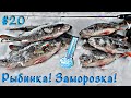 Ловля окуня зимой на балансир и блесну! Морозная Рыбинка 2021.