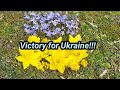 Victory for Ukraine!!!