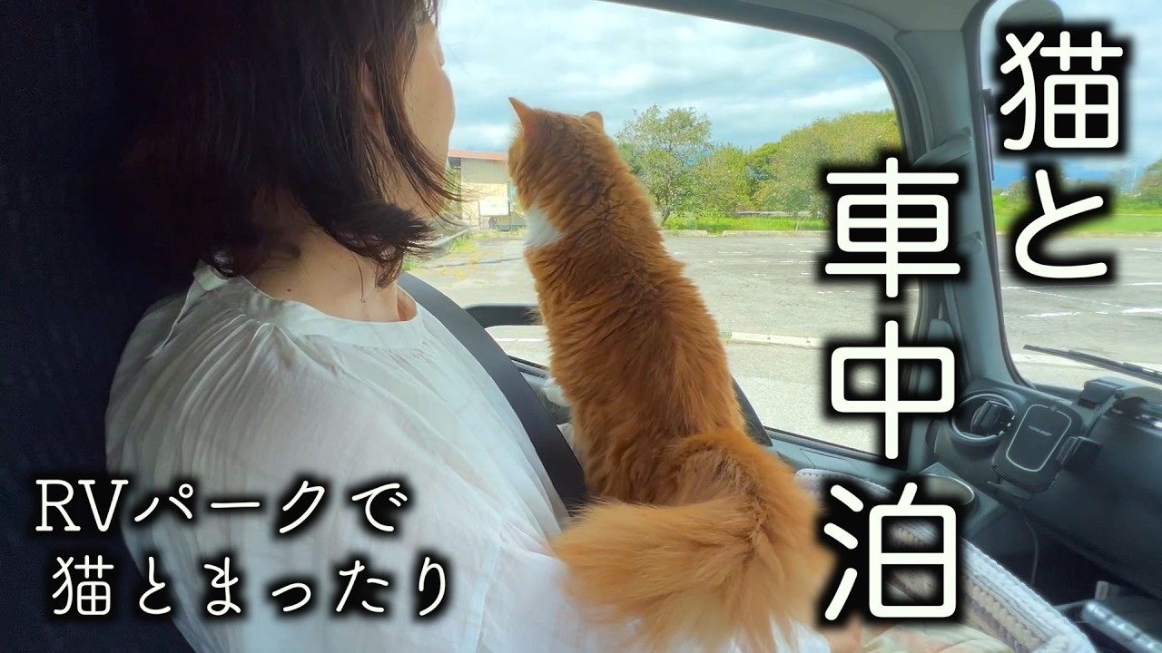 【猫と車中泊】岐阜・長野旅⑤／安曇野のRVパークで猫とまったり過ごしました