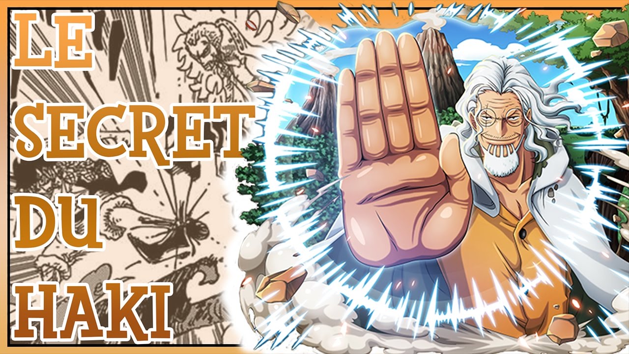 Quelle Est Le One Piece