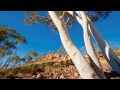 "Horchat hai Eucalyptus-The Eucalyptus Forest" (Eng. subtitles) Jewish song by Naomi Shemer