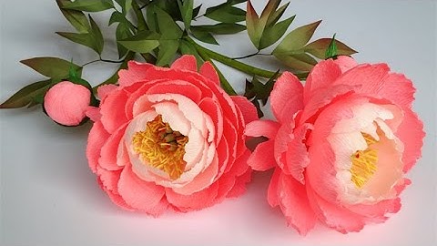 ABC TV | How To Make Coral Charm Peony Paper Flower From Crepe Paper - Craft Tutorial