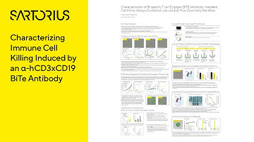 Characterization of Bi-Specific T Cell Engager (BiTE)