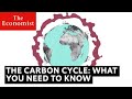 The carbon cycle is key to understanding climate change | The Economist