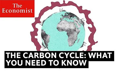 The carbon cycle is key to understanding climate change