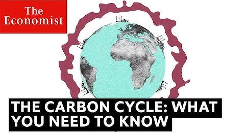 The carbon cycle is key to understanding climate change