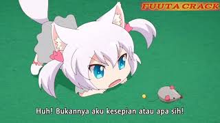 Ketika Punya 3 Loli Neko Dirumah. Auto Bahagia - Anime Crack Indonesia