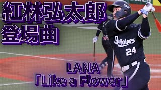 2026 オリックスバファローズ 紅林弘太郎 Like a Flower-LANA
