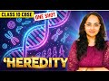 Heredity and Evolution Class 10 One Shot | Full Chapter in 9 Minutes! 🧬
