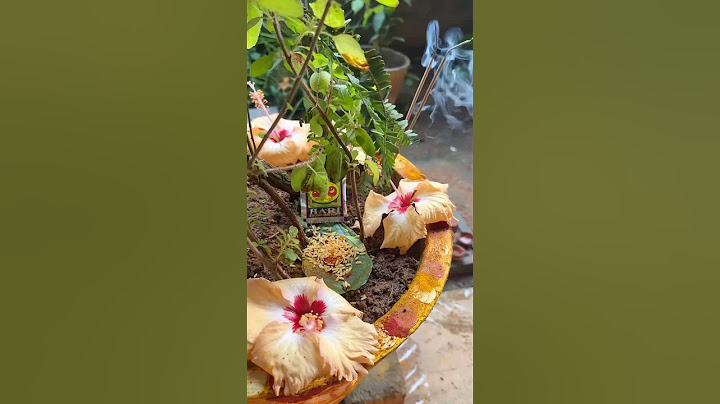 కార్తీక పౌర్ణమి రోజు ఇంట్లో ఇలా చేస్తే తప్పకుండ కల్యాణం జరుగుతుంది || #karthikapournami #kalyanam