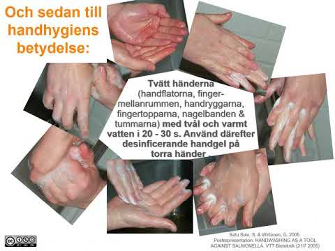 Råd och rön samt betydelsen av god handhygien på nötkreaturgårdar