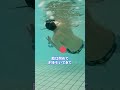 21) 立石諒の平泳ぎを本人と見る!?水中映像を見ながら解説!