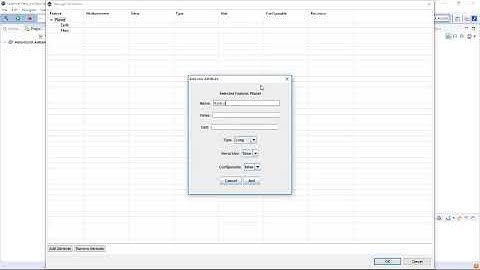 Feature Attributes in Feature Modeling (experimental)