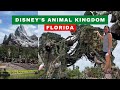 Disney&#39;s Animal Kingdom Florida