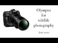 Olympus for wildlife photography