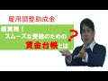 超実践！雇調金：スムーズな支給決定に向けた賃金台帳とは【HIKARIチャンネル052】