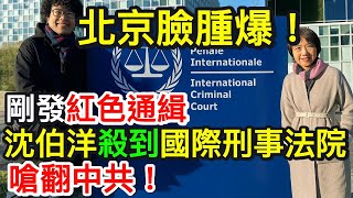 Download Lagu 北京臉腫爆！紅色通緝剛發　沈伯洋殺到「國際刑事法院」嗆翻中共！｜北美王律觀台海第704期｜CCP Humiliated! Taiwanese MP Appears at the ICC! MP3