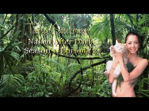 Taryn Southern Nude