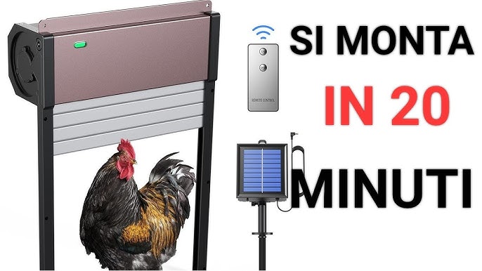 Agrarzone Porta automatica per pollaio fotovoltaica | Apriporta automatico  per pollaio con timer e sensore crepuscolare | Alimentazione a rete oa