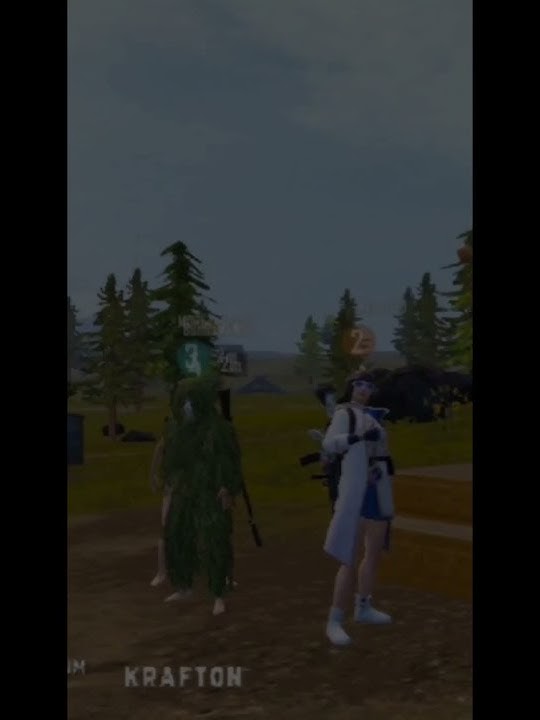 PUBG Mobile WWCD Winner Winner Chicken Dinner story wa